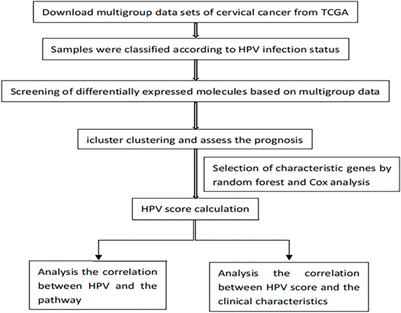 A New HPV score System Predicts the Survival of Patients With Cervical Cancers